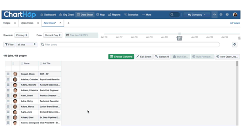 Set your date to analyze with ChartHop Views